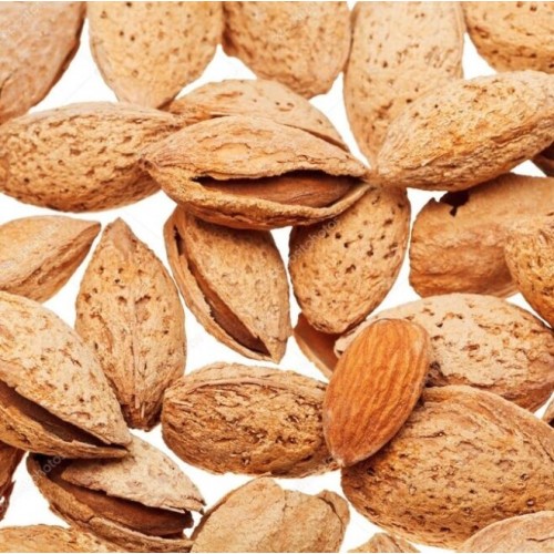تصویر 3 از قیمت خرید بادام پوست کاغذی عمده  + صادراتی